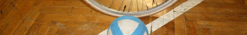 was ist Radball - Radball Mutzschen